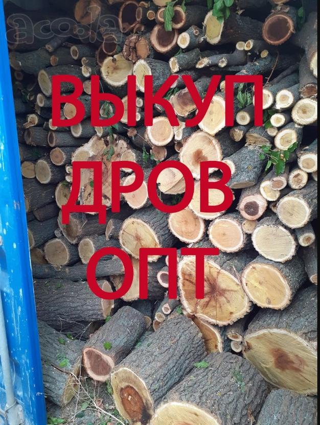 Закупаем дрова. Только опт