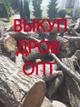 Закупаем дрова. Только опт